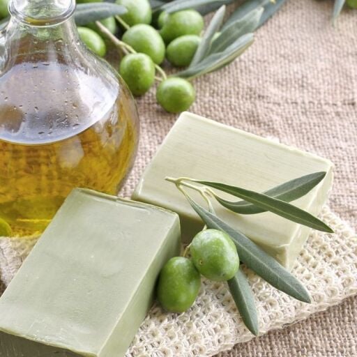 Zeytin& Zeytinyağı