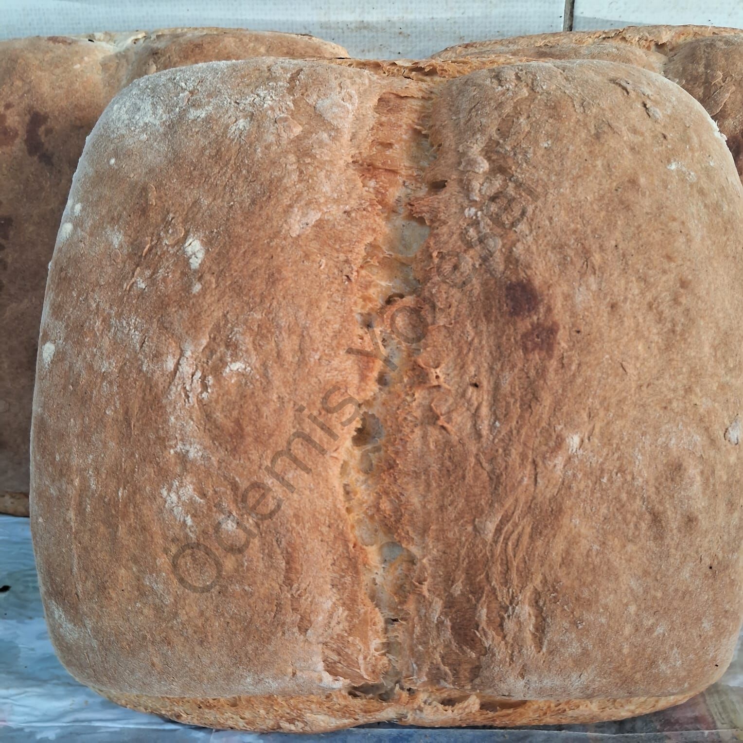 Nohut Mayalı Ekmek 1000g