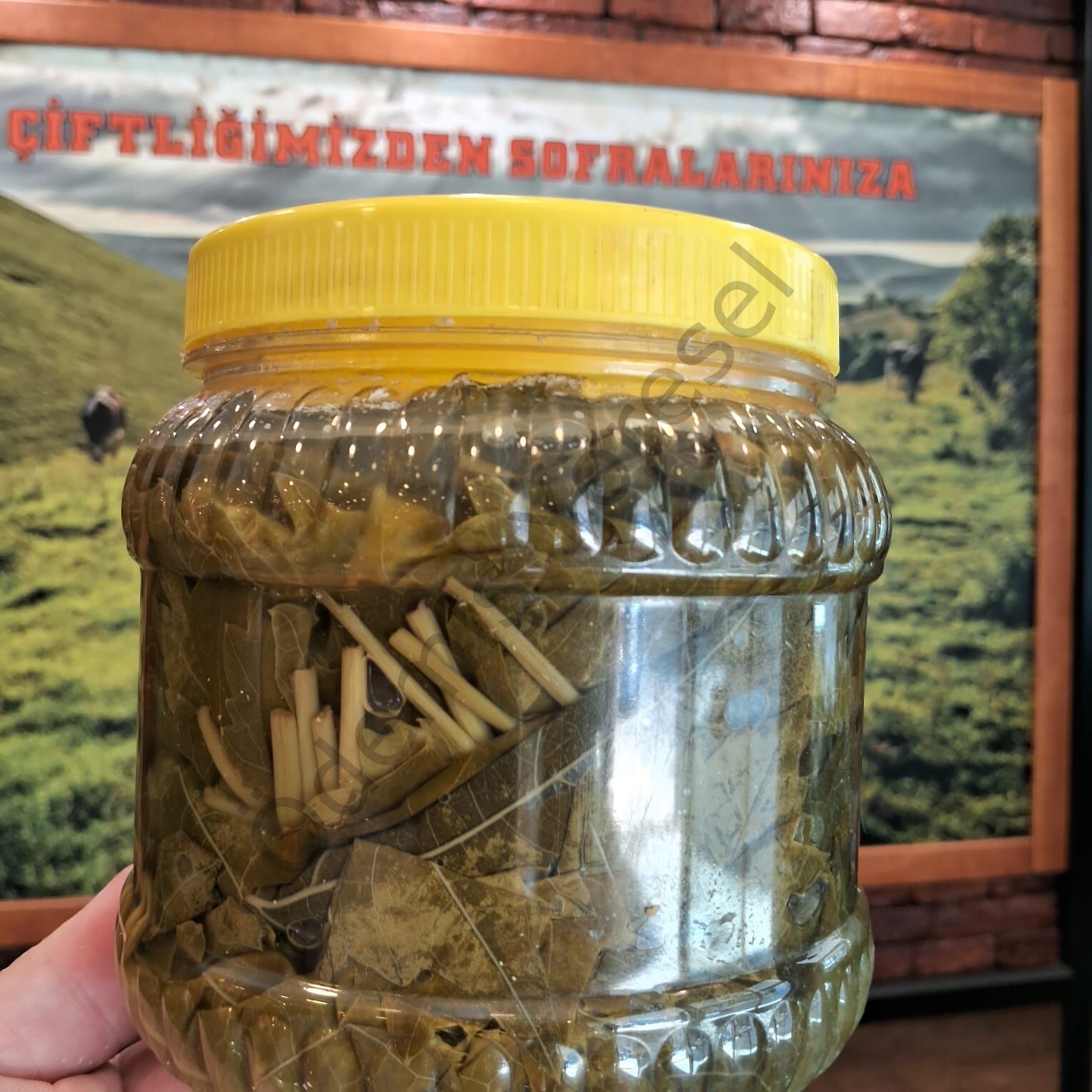Uç Yaprak Salamura 1000g