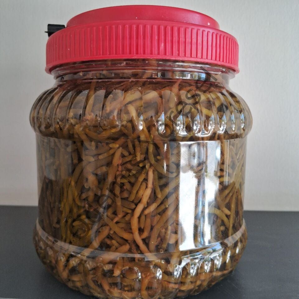 Deniz Börülcesi 500g
