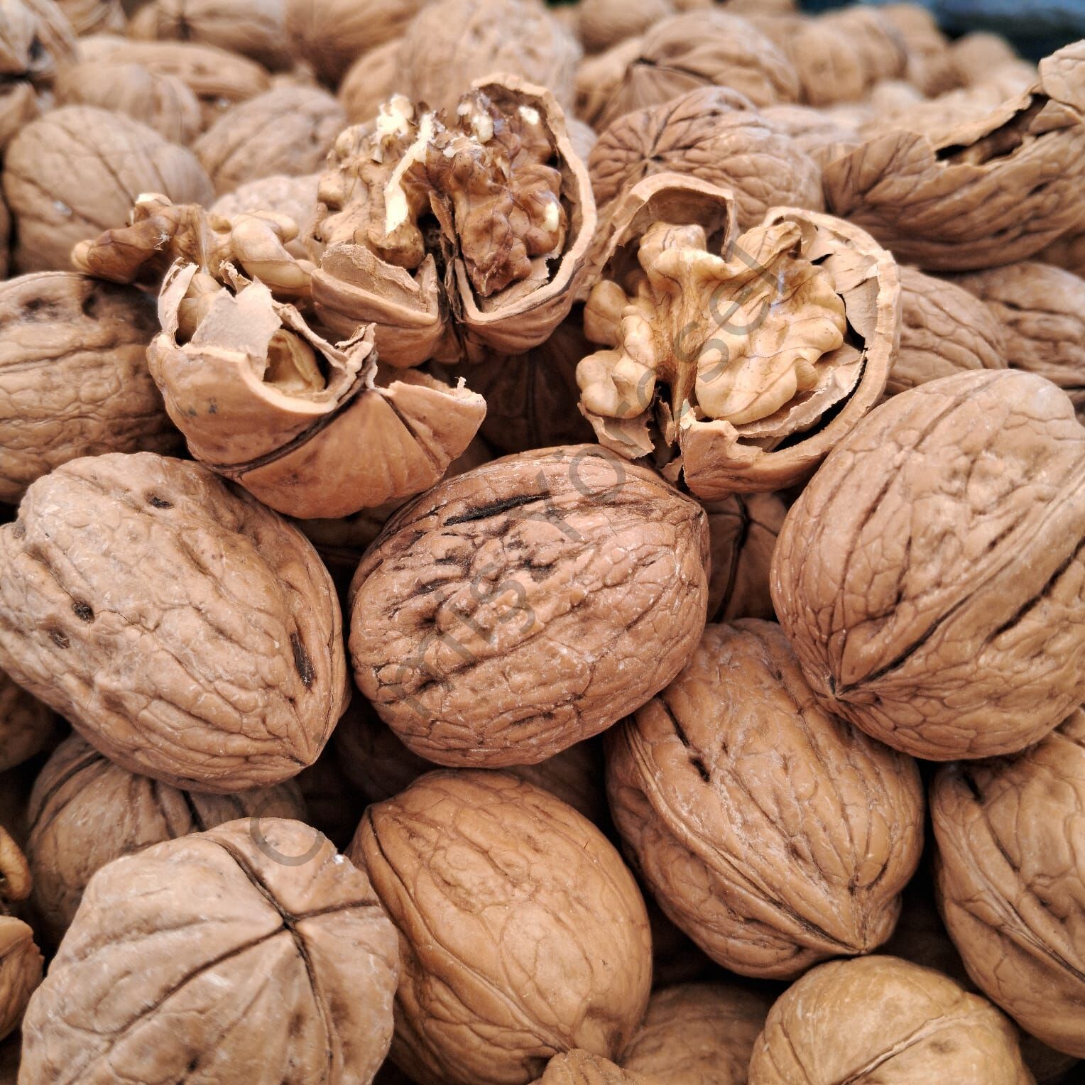 Ödemiş Yayla Ceviz