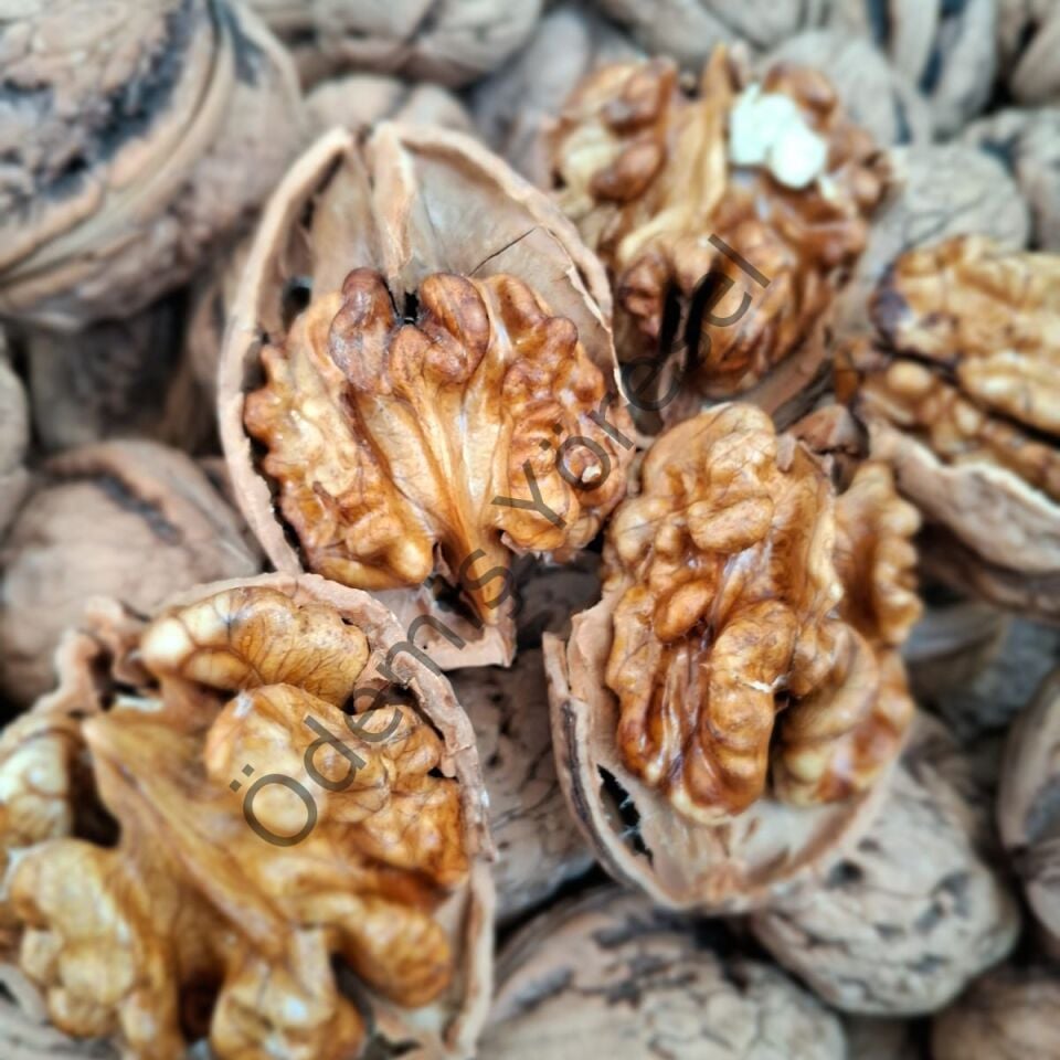 Ödemiş Yayla Ceviz