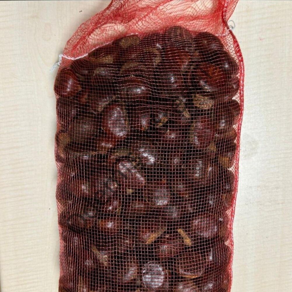 Ödemiş Yayla Kestane