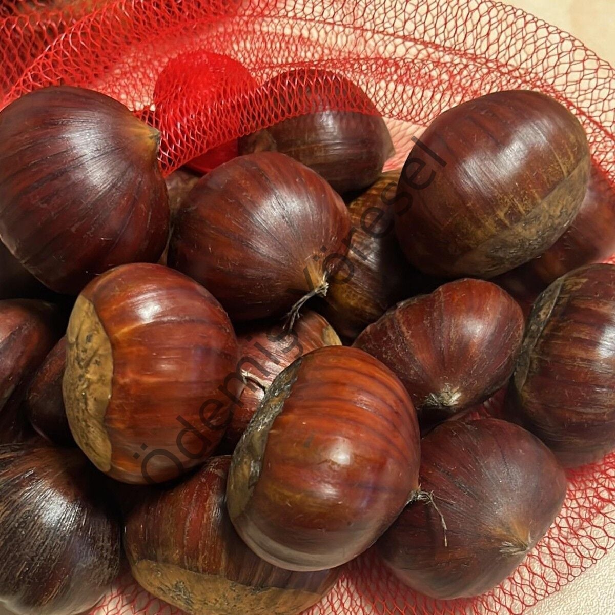 Ödemiş Yayla Kestane
