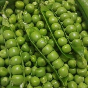 Kaymakçı Bezelye Hasat 4000g