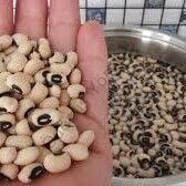Kara Göbek Börülce 1000g