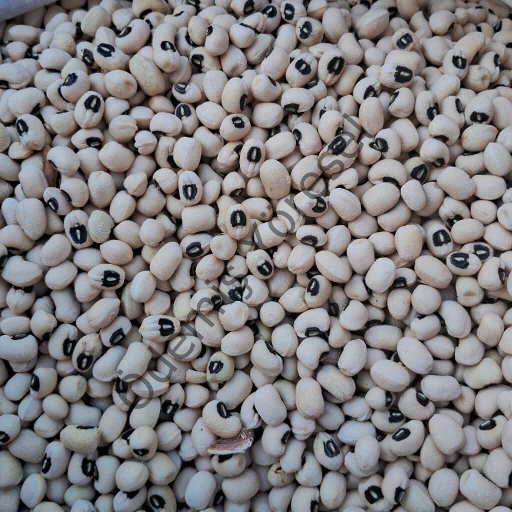 Kara Göbek Börülce 1000g