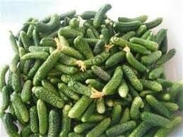 Salatalık Kornişon Hasat 5000g