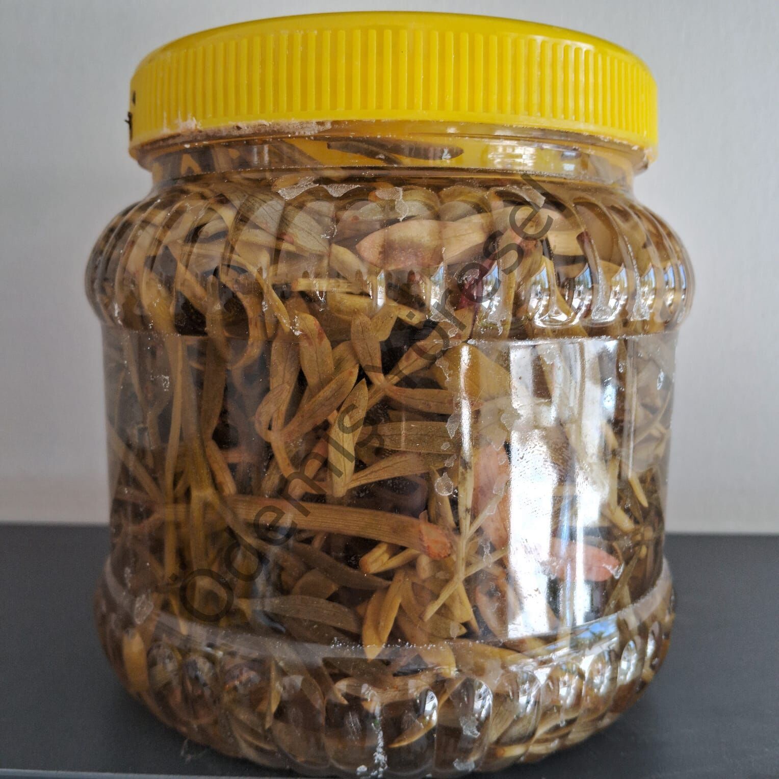Kaya Koruğu 350g