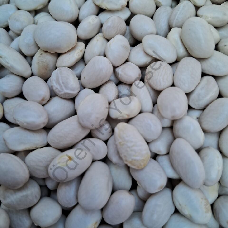 Çavuş Dağı Kuru Fasulye 1000g