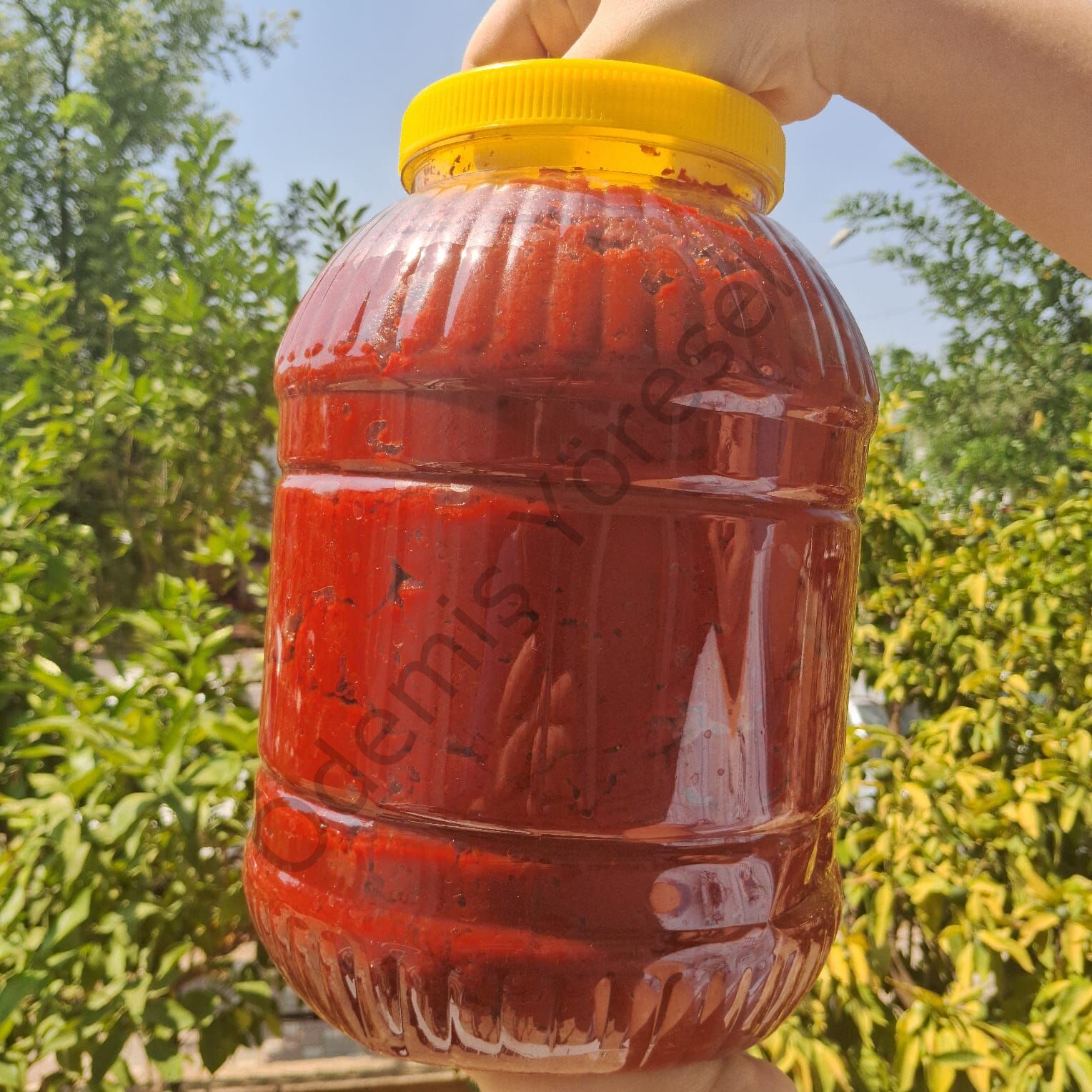 Domates Biber Karışık Salça 5000 Gram