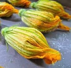 Kabak Çiçeği 10 Adet