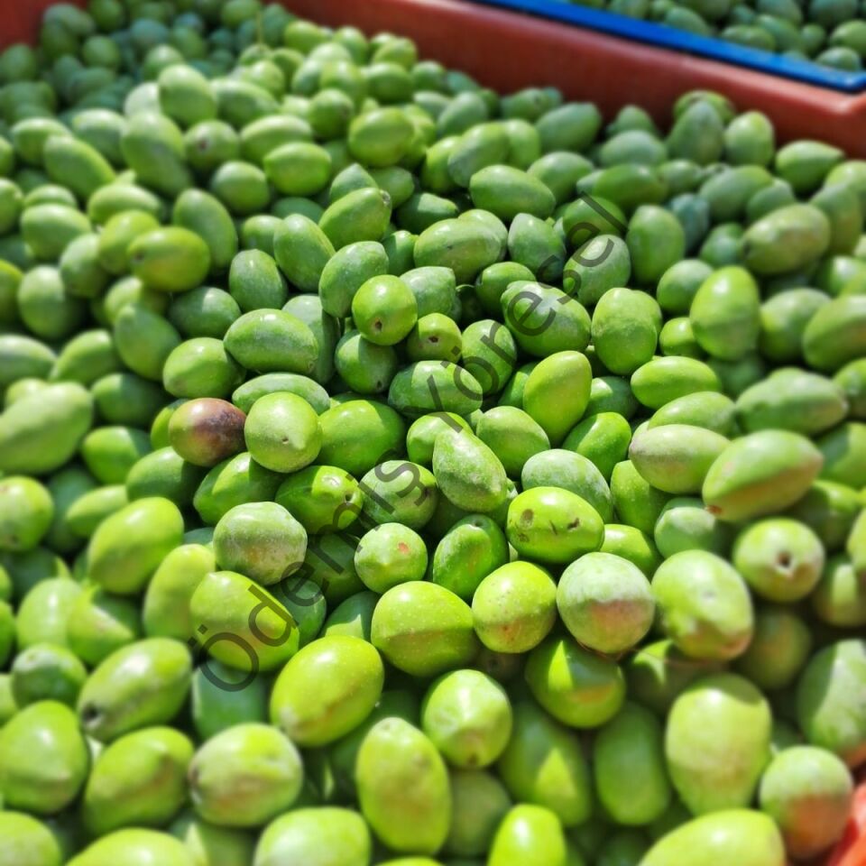 Çekişte Hasat 5000g