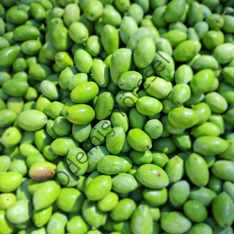 Memecik  Tarla Hasat 5000g