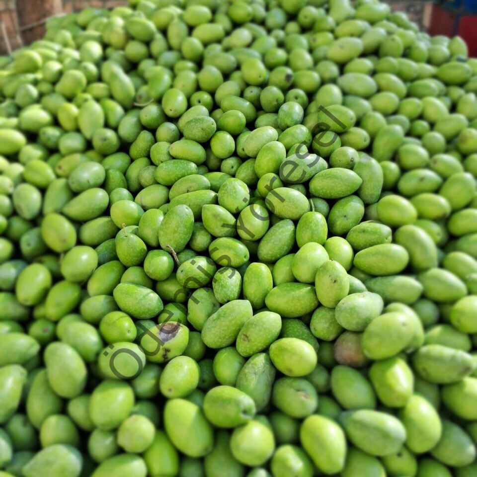 Memecik  Tarla Hasat 5000g