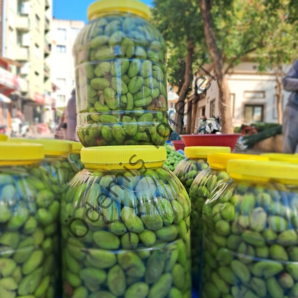 Çekişte Kırma Zeytin