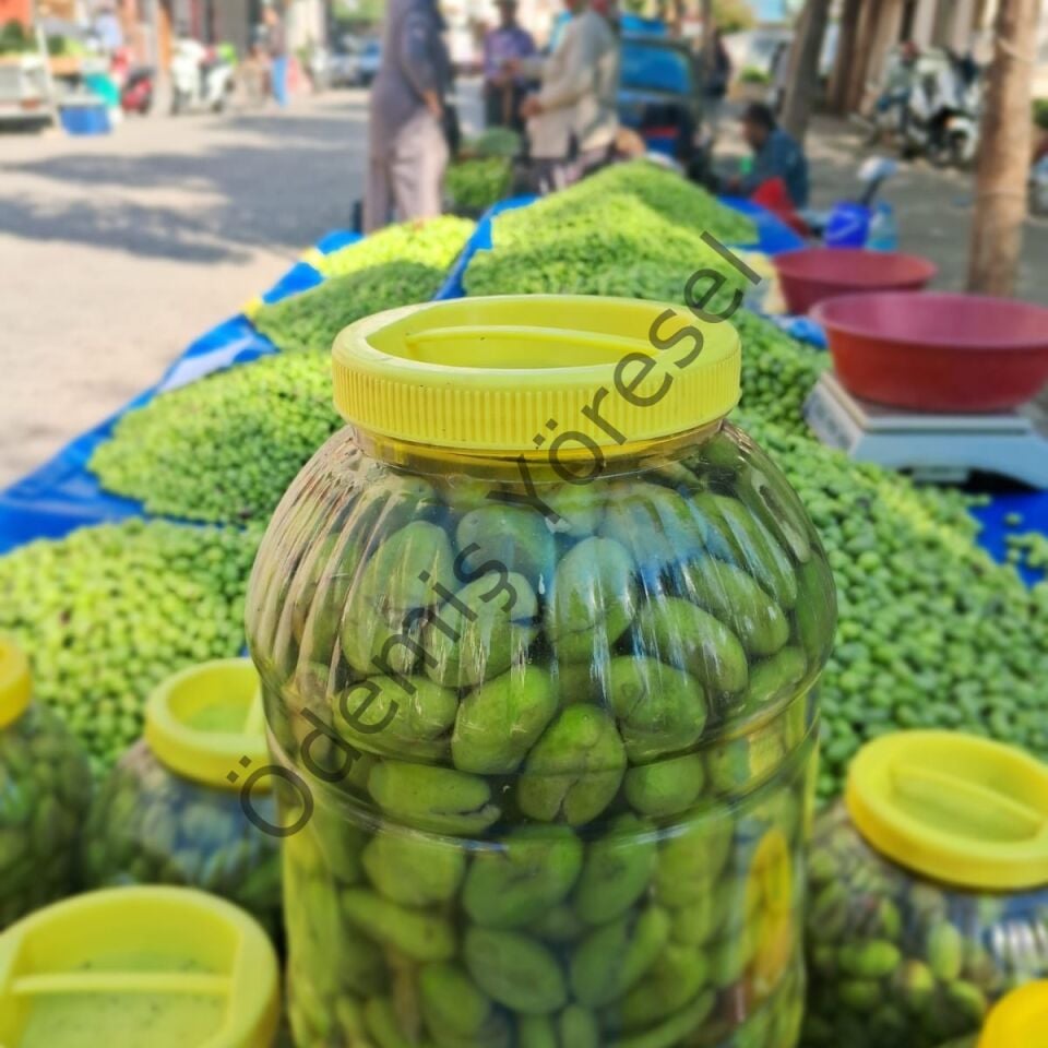 Çekişte Kırma Zeytin