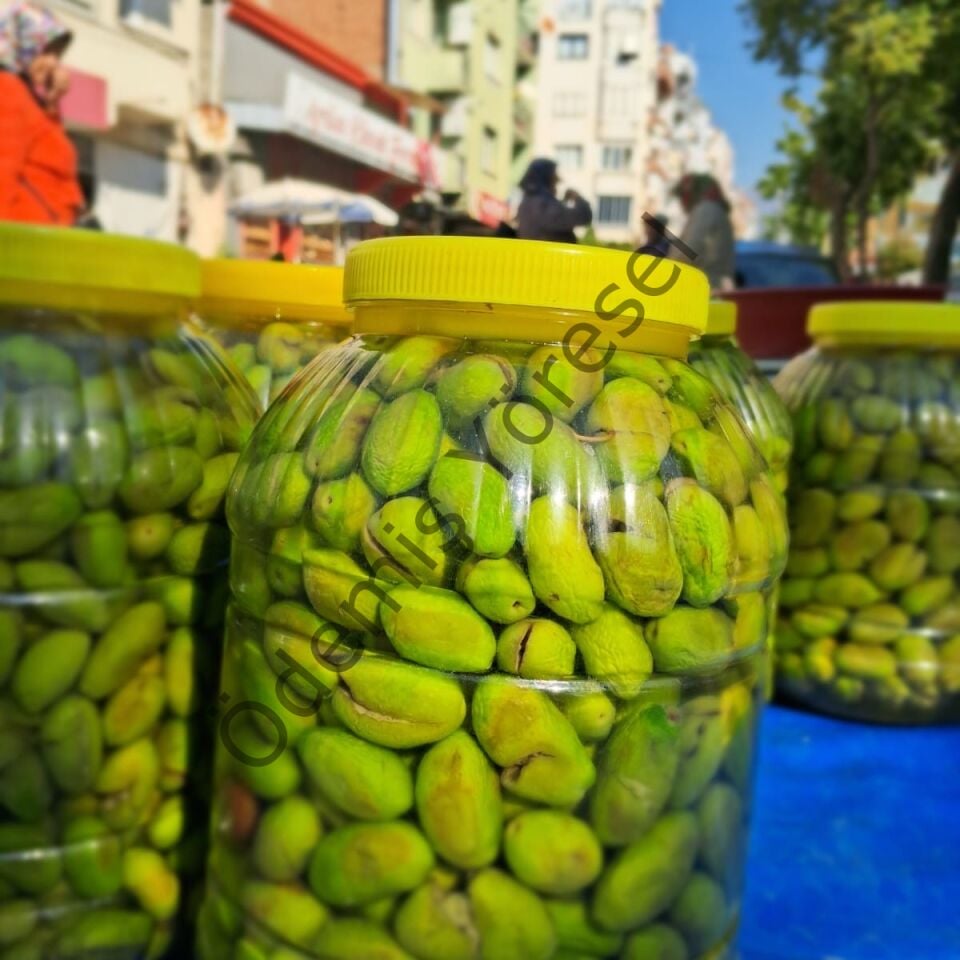 Çekişte Kırma Zeytin