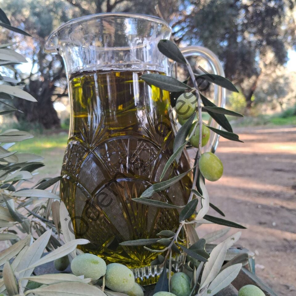 Ödemiş Erken Hasat Zeytinyağı