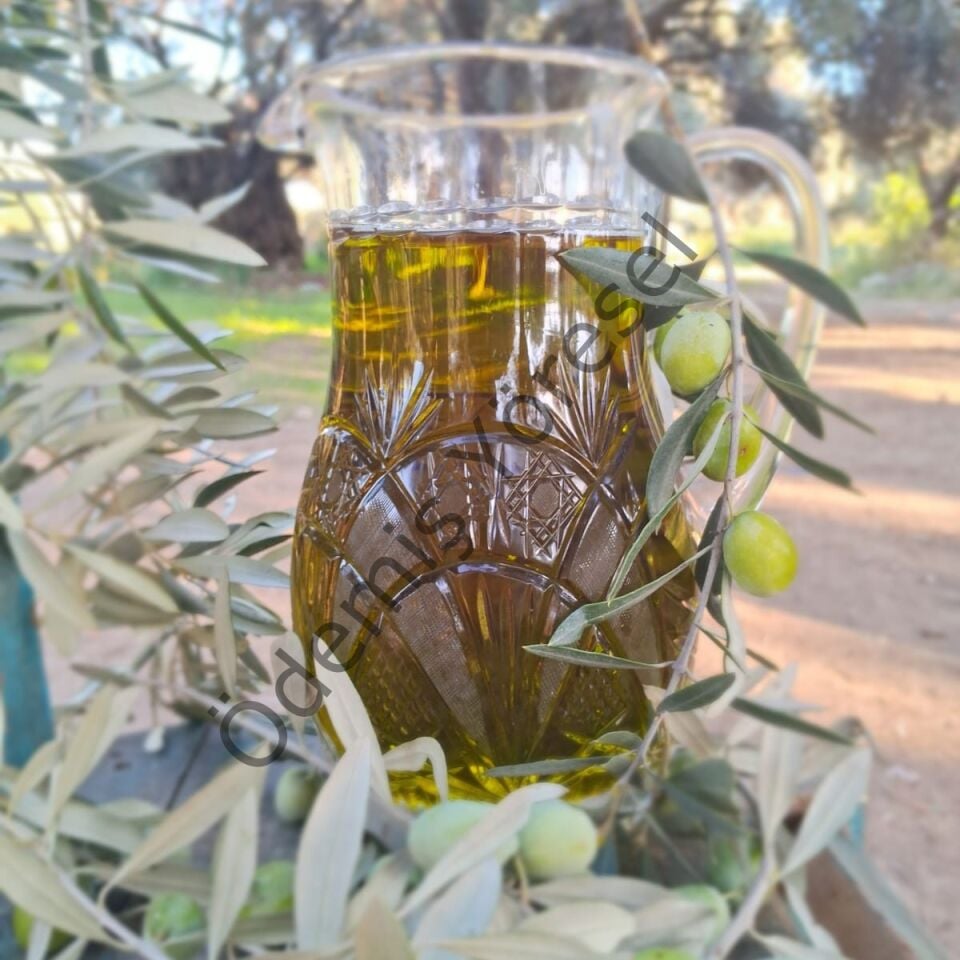 Ödemiş Erken Hasat Zeytinyağı