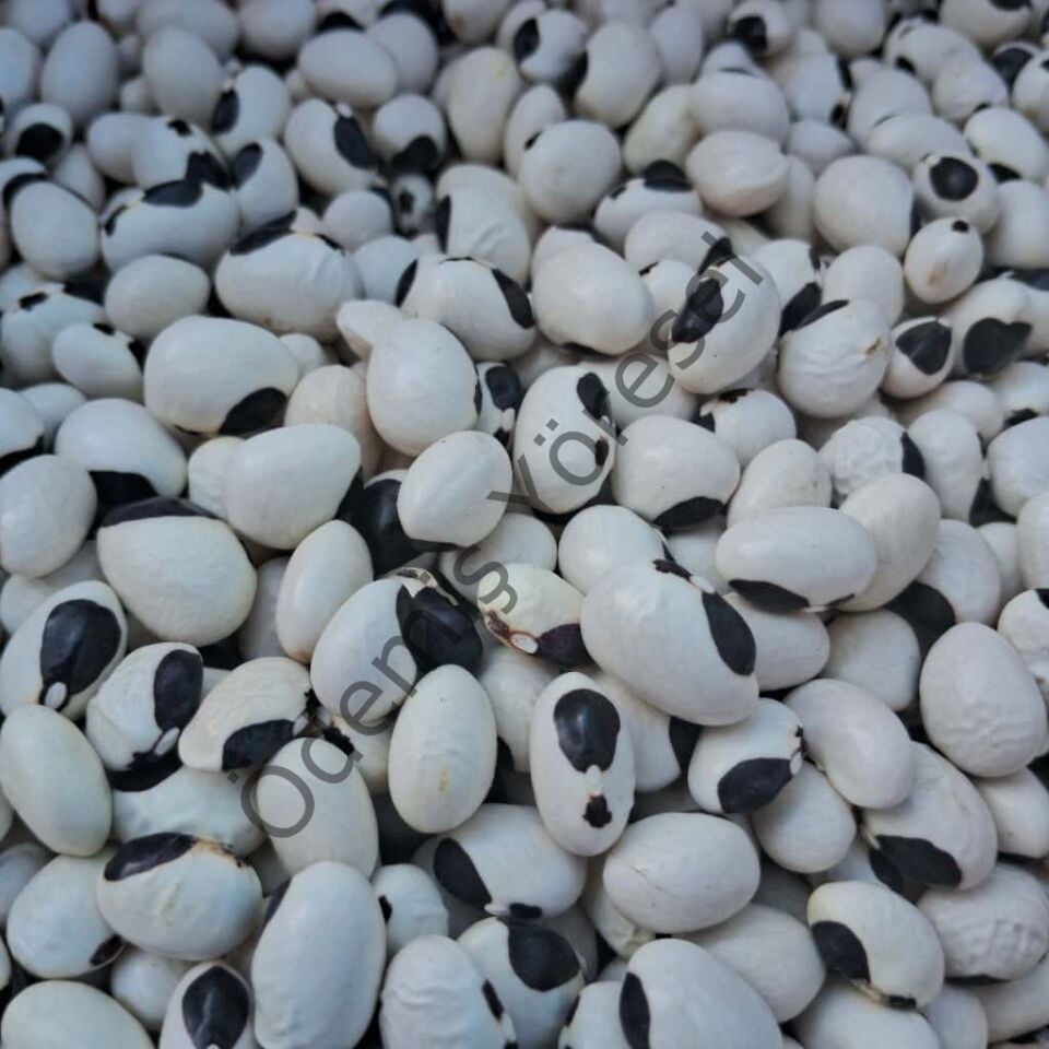 Mevlana Fasülye 1000g