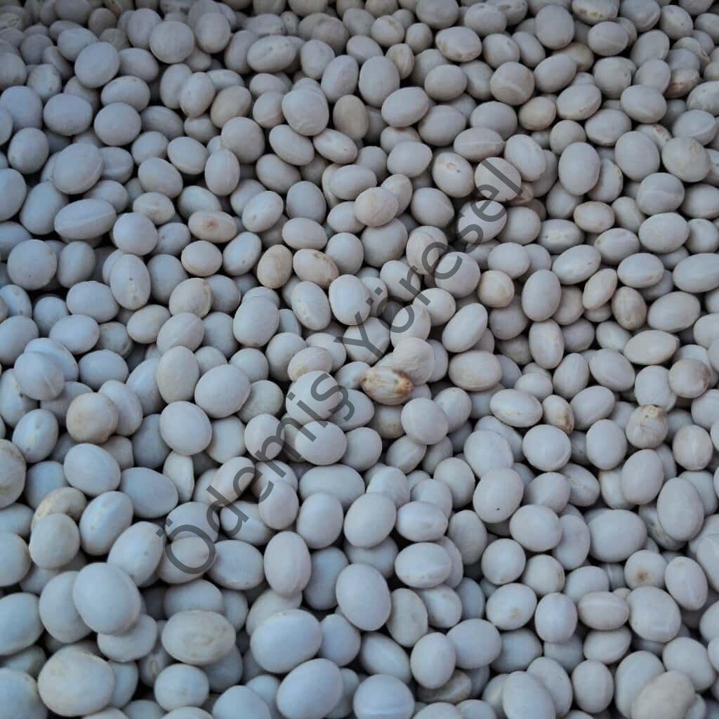 Şeker Fasulye 1000g