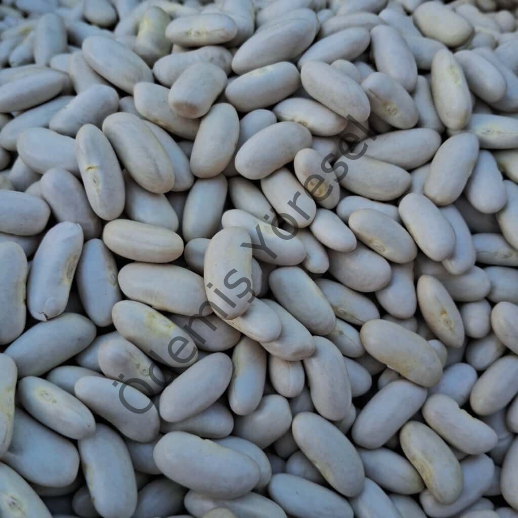 Horoz Fasulye 1000g