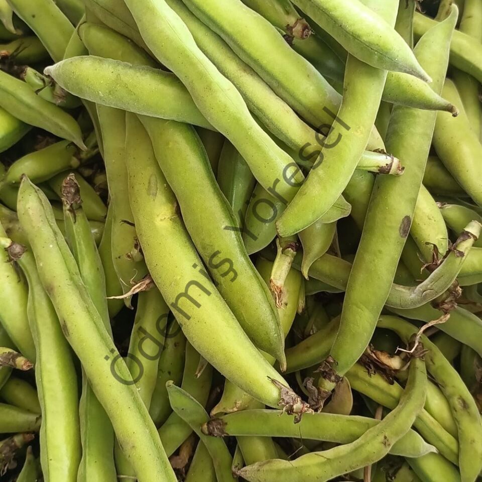 Yerli Bakla 1000g
