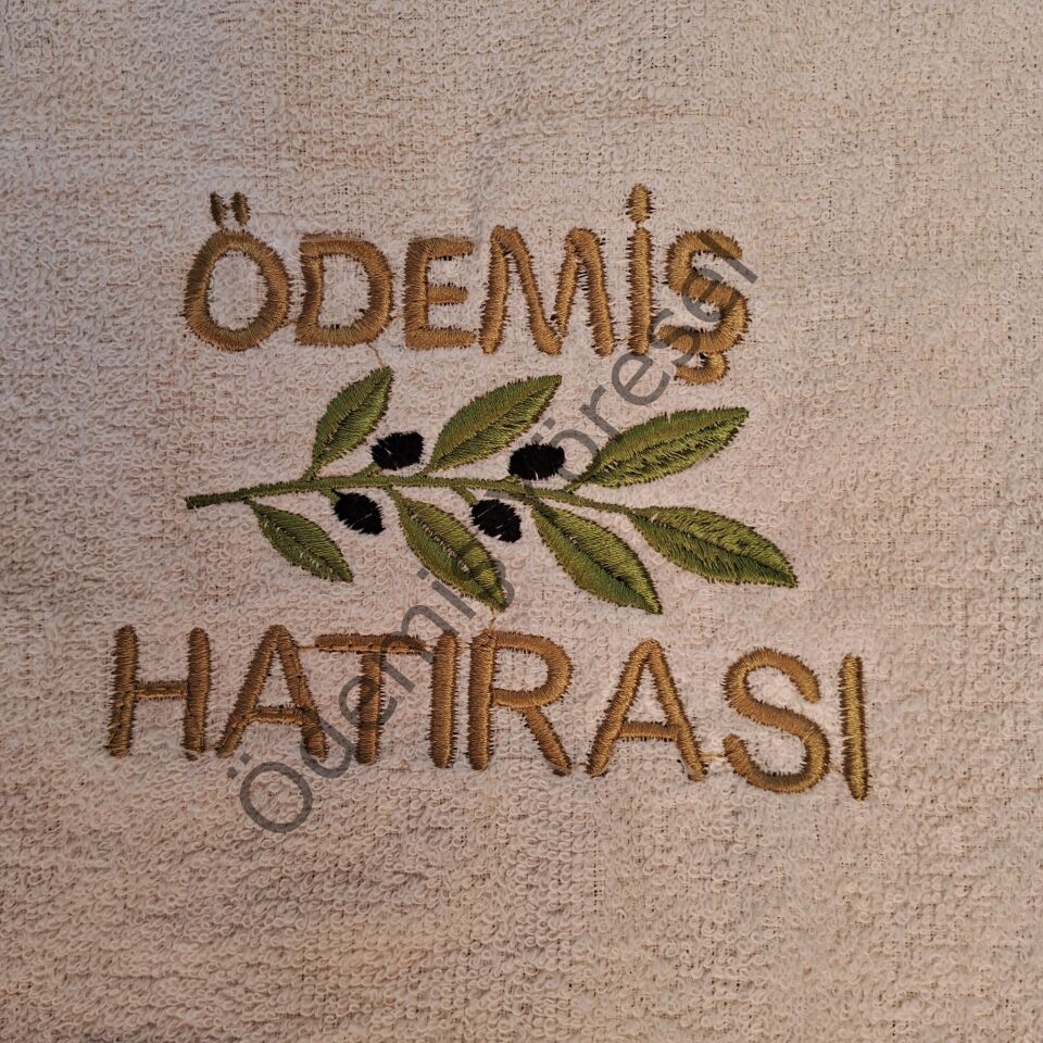 Havlu Ödemiş