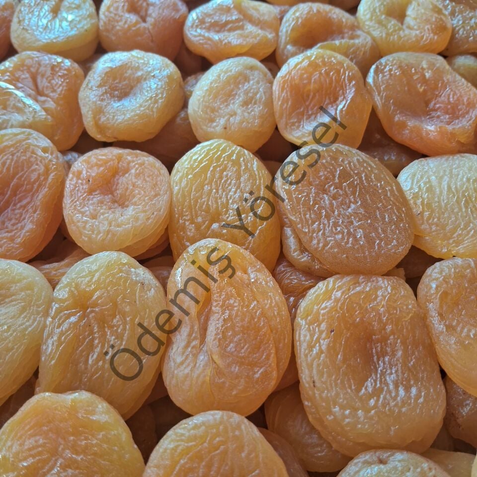 Kuru Kayısı 1000g
