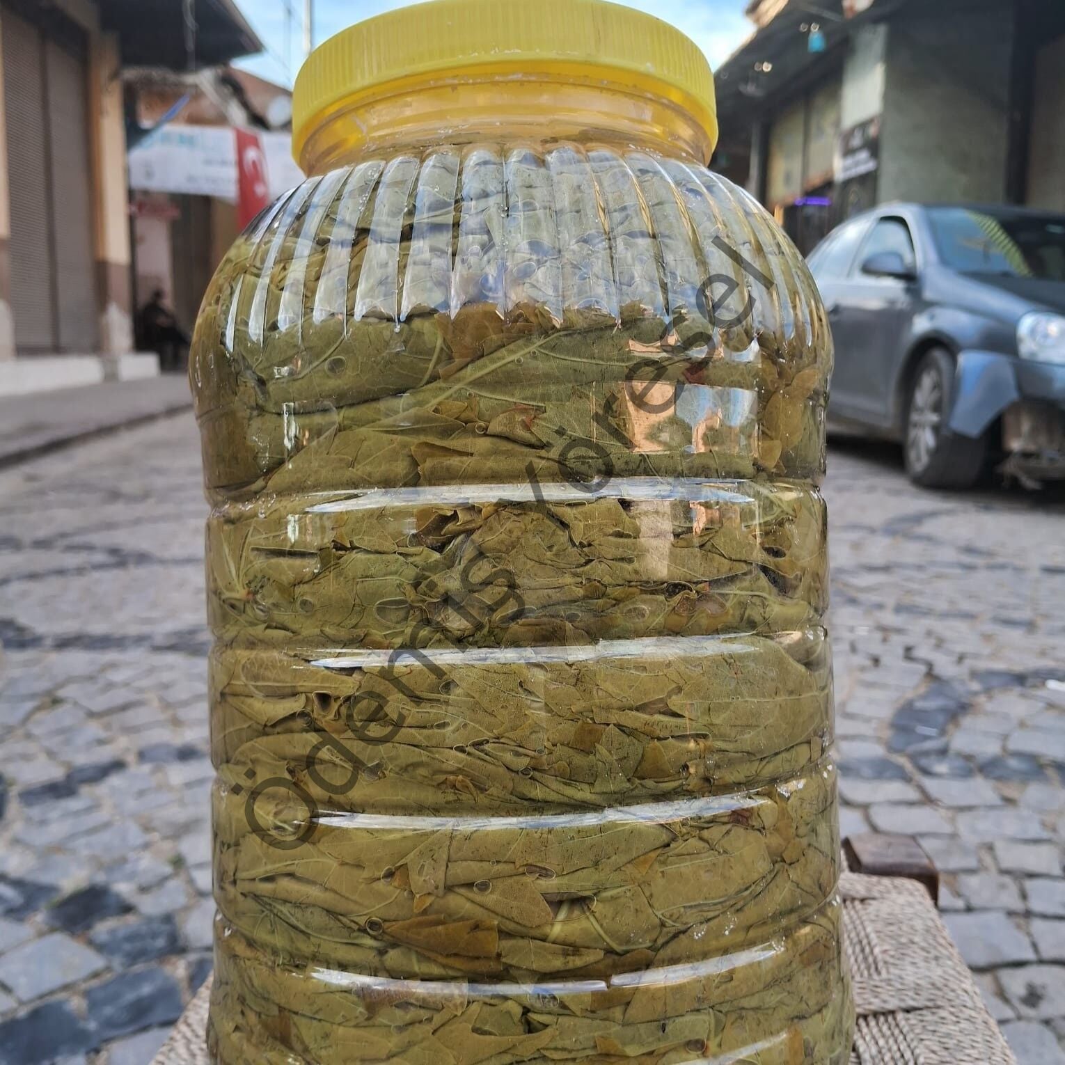 Uç Yaprak Salamura 5 kg.