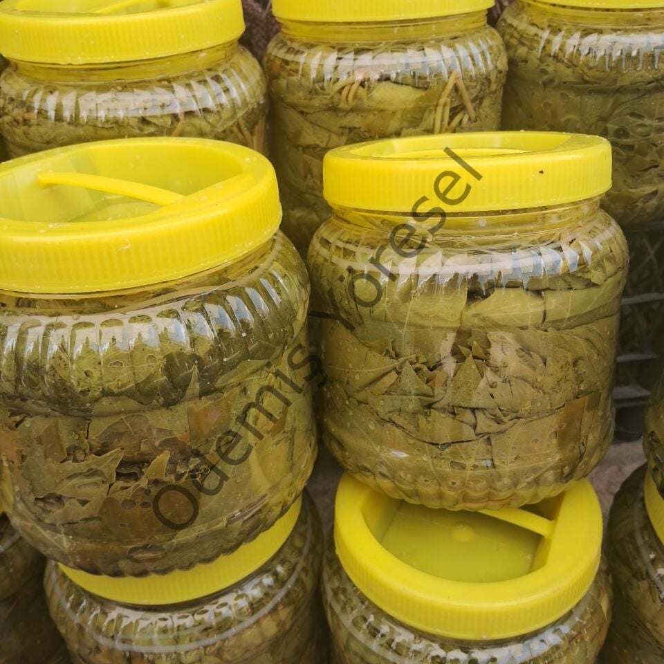 Uç Yaprak Salamura 1 kg.