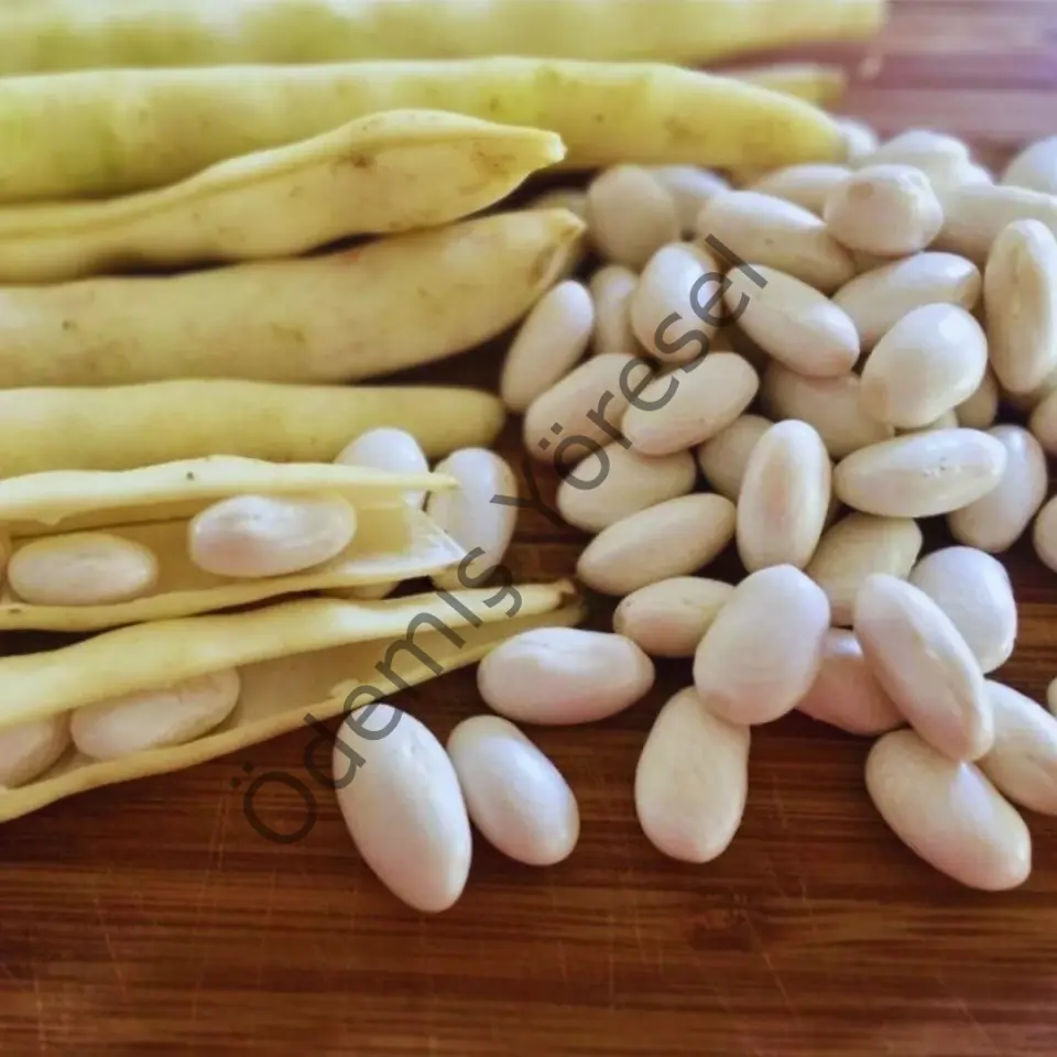Badalan Taze Fasülye 5000g